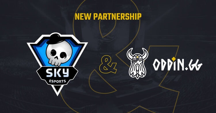 Skyesports partners Oddin for Counter-Strike 2 in India