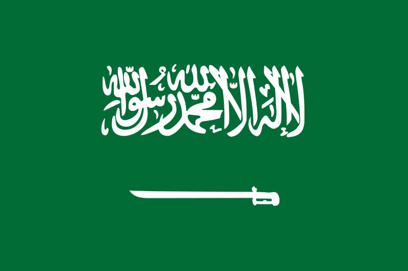 Saudi Arabian Government launches E-Visa program for Esports World Cup