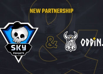 Skyesports partners Oddin for Counter-Strike 2 in India